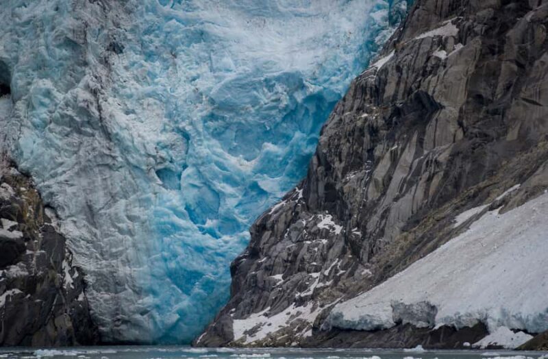 Anchorage: Glacier & Wildlife Discovery Tour (7-hours) - Key Points