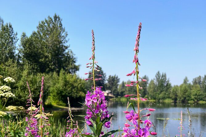 Anchorage Greenbelt Bike Tour - Detailed Review of the Anchorage Greenbelt Bike Tour