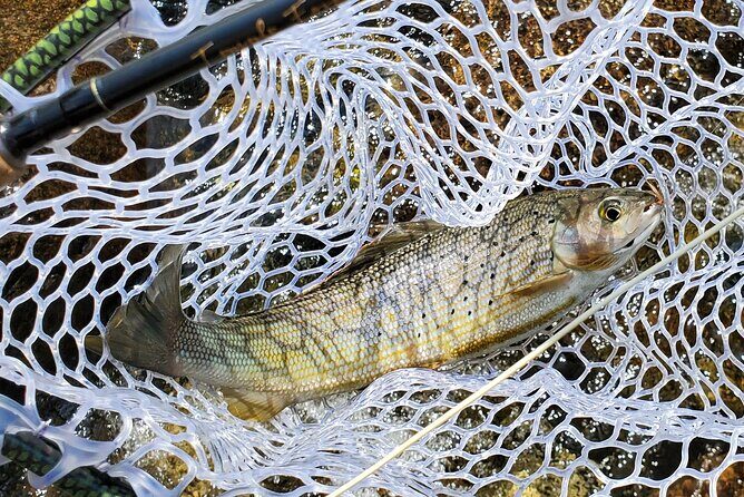 Anchorage Guided Fly-fishing - What’s Not Included