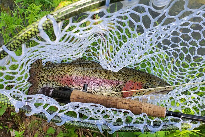 Anchorage Guided Fly-fishing - The Sum Up