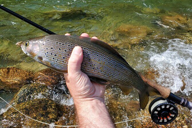 Anchorage Guided Fly-fishing - FAQ