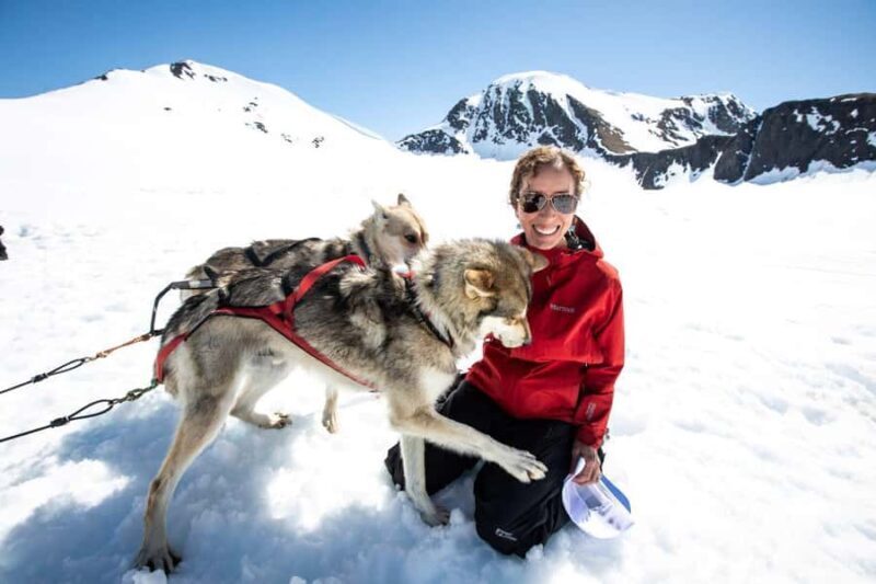 Anchorage: Helicopter Glacier Dogsledding Tour - The Itinerary: From Sky to Snow