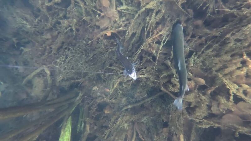 Anchorage: Ice Fishing Trip With Transportation - The Sum Up: Is It Worth It?