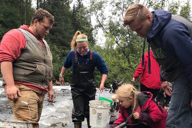 Anchorage: Kenai Fjords & Denali National Park 5 Day 4 Night Tour - The Sum Up: Is This Tour Right for You?