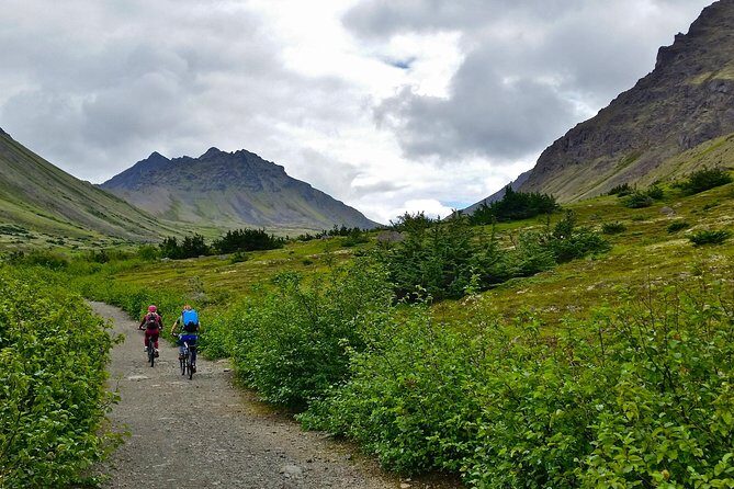 Anchorage Scenic Mountain Bike Tour - What Reviewers Say