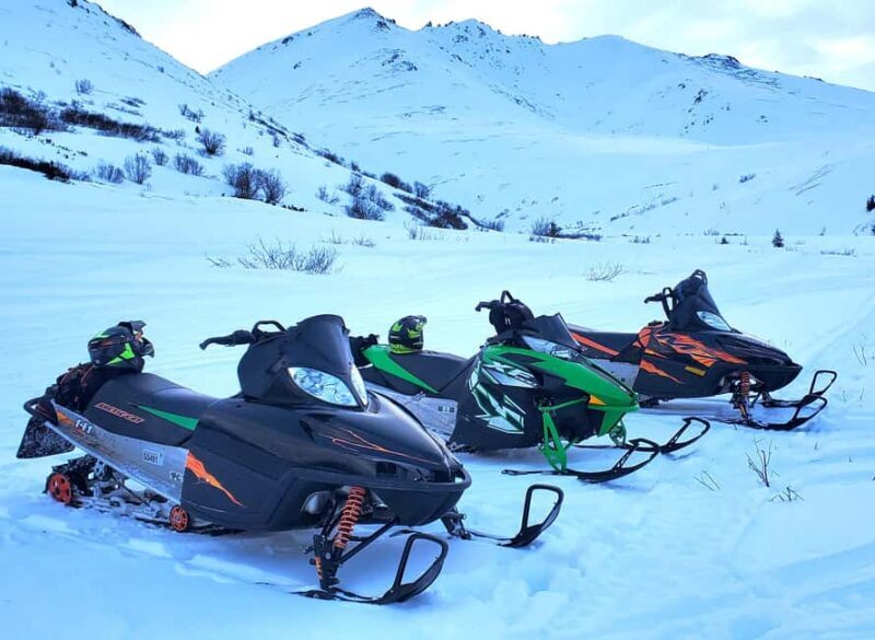 Anchorage: Snowmobile Adventure with Transportation - An In-Depth Look at the Snowmobile Adventure