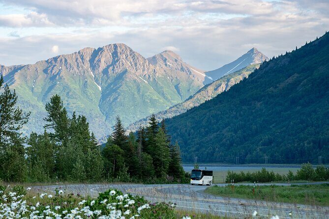Anchorage to Seward Wildlife Adventure - Key Points