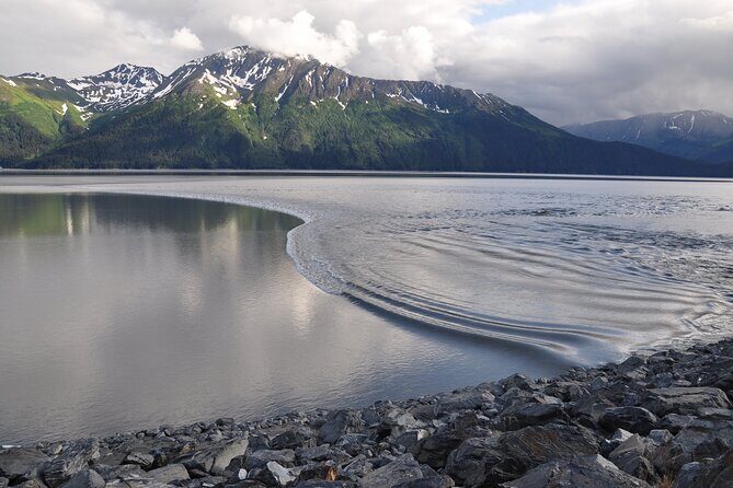 Anchorage to Seward Wildlife Adventure - What We Loved About This Tour