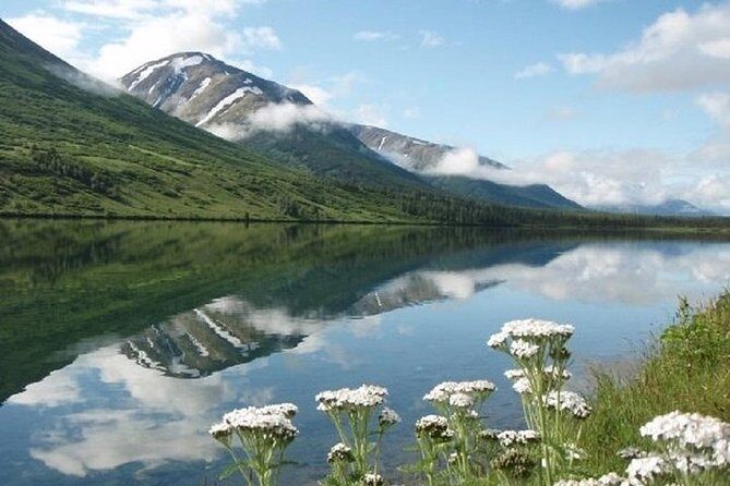 Anchorage to Whittier Cruise Transfer and Private Tour - An In-Depth Look at the Anchorage to Whittier Tour