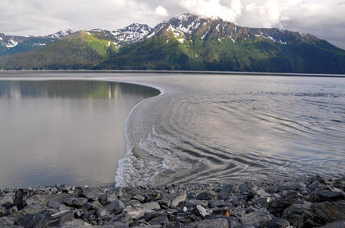 Anchorage to Whittier Direct Transfer Tour - Who Should Consider This Transfer?