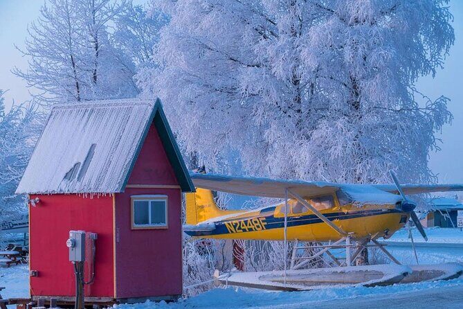 Anchorage Winter Wonderland Photo Tour - A Deep Dive into the Tour Experience