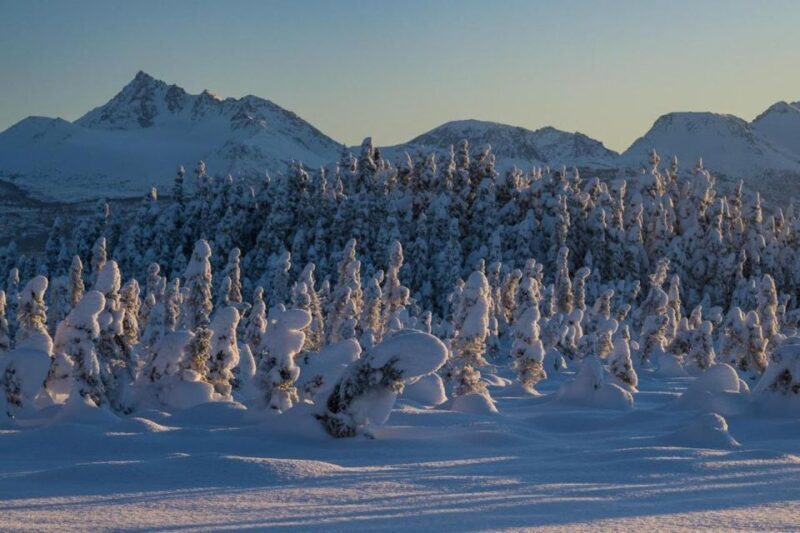 Anchorage: Winter Wonderland Photo Tour - Who Should Consider This Experience?