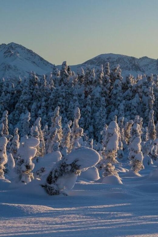 Anchorage: Winter Wonderland Photo Tour - FAQ