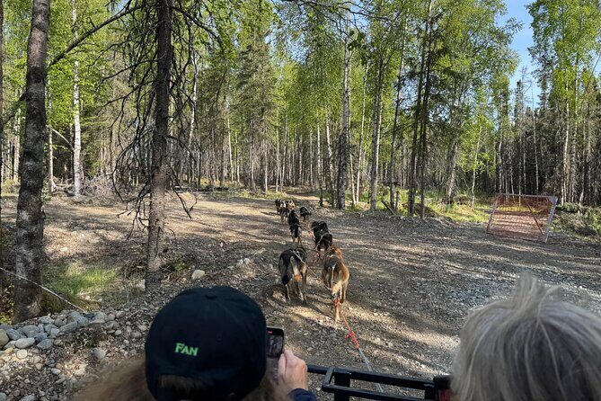 Anchorage's Authentic Dog Sledding Experience - Authenticity and Reviews: What Travelers Are Saying