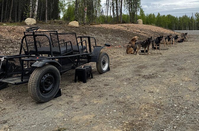 Anchorage's Authentic Dog Sledding Experience - Frequently Asked Questions