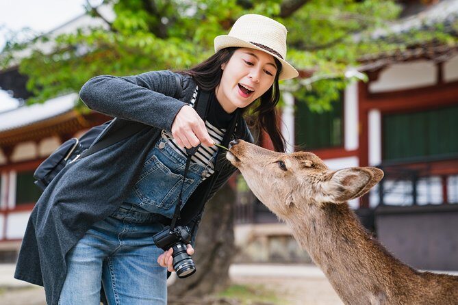 Ancient Capital Tour: Kyoto and Nara Highlights from Kyoto/Osaka - Key Points