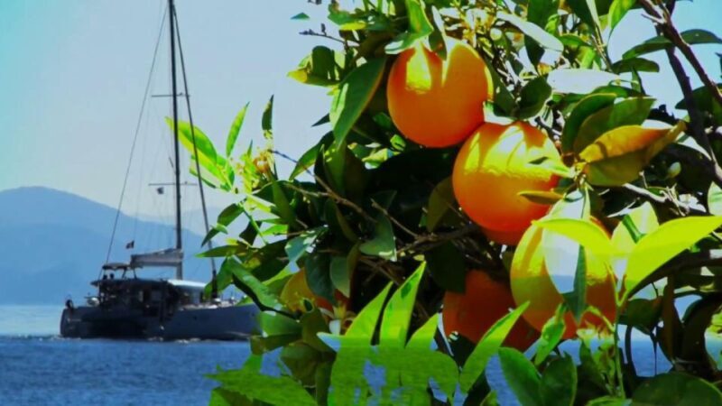 Ancient Corinth, Mycenae & snorkelling in sunken city - Practical Details and Value