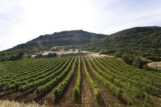 Ancient Corinth & Nemea Tour to Culture - FAQ