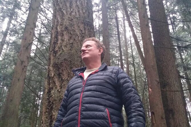 Ancient Forest , Waterfalls and Stunning Vistas Day Tour - The Details of the Itinerary