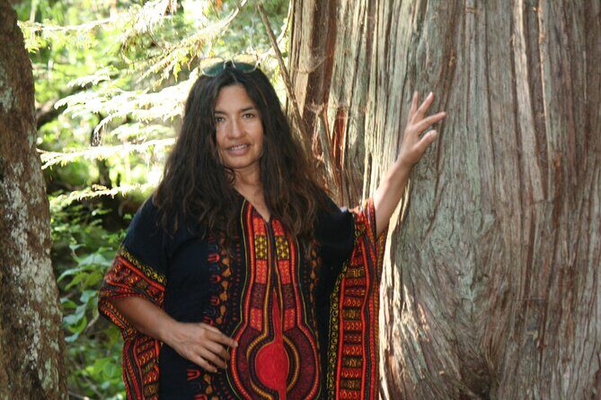 Ancient Forest , Waterfalls and Stunning Vistas Day Tour - Who Will Love This Tour?