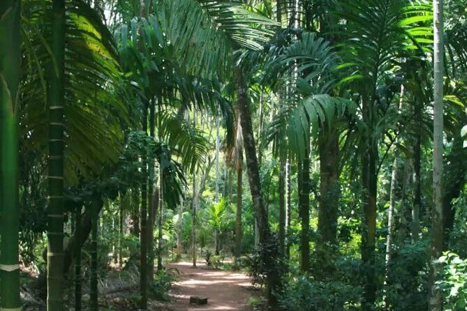 Ancient Goa tour with Archaeologist or Local guide - FAQ