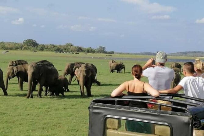 Ancient Kingdom and Wild Elephant Safari from Polonnaruwa - Final Thoughts: Is This Tour Right for You?