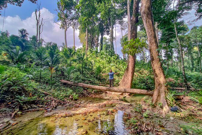 Ancient Lava Stream Trek through dense Tropical forest. - An In-Depth Look at the Ancient Lava Stream Trek