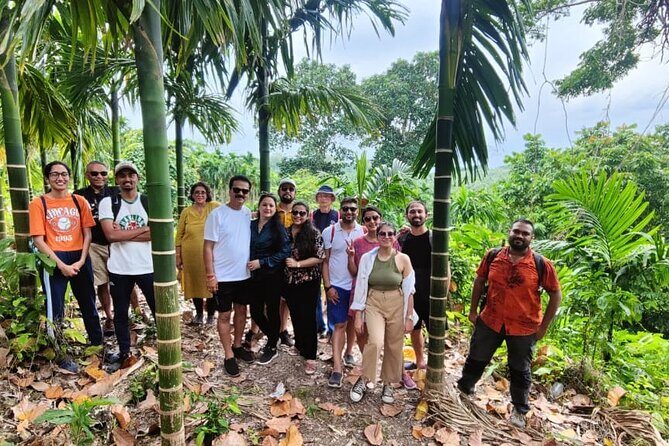 Ancient Lava Stream Trek through dense Tropical forest. - Who Will Love This Trek?