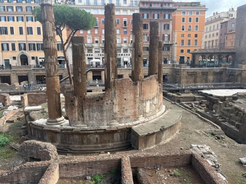 Ancient Rome: Archeological area Largo Argentina - The Sum Up: Who Should Consider This Experience?