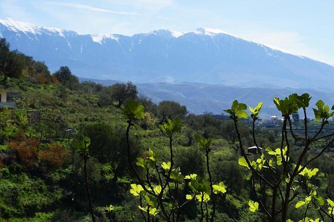 Ancients and Ottomans - Apollonia and Berat - Practicalities and Tips for the Tour