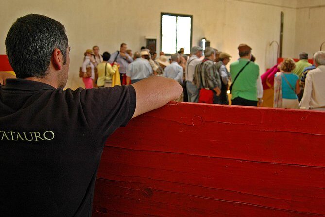 Andalucia Bull and Horse Farm and Ronda Private Tour from Malaga - A Detailed Look at the Andalucia Bull and Horse Farm and Ronda Tour