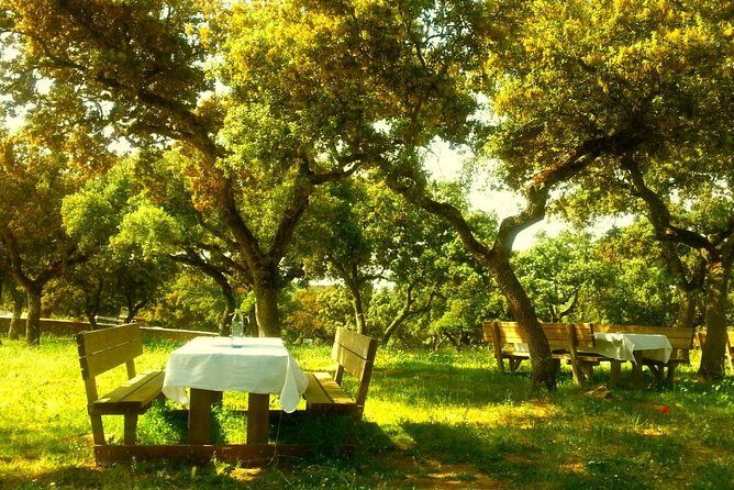 Andalucia Bull and Horse Farm and Ronda Private Tour from Malaga - FAQs