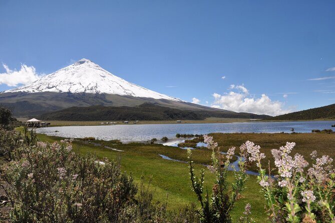 Andean Adventure : Riding and Cotopaxi Refuge - Key Points