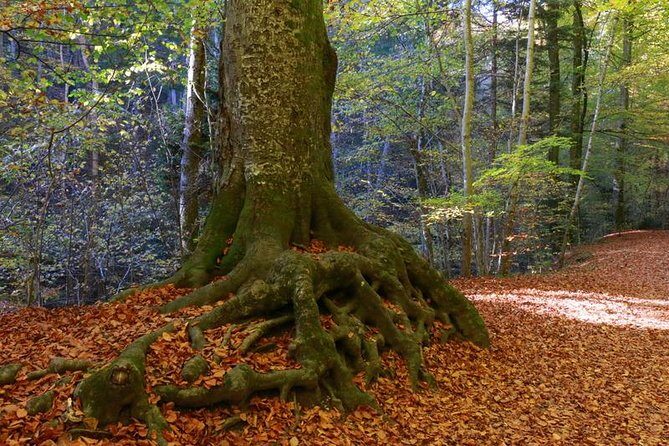 Andechs Monastery Beer Hike Food Experience Private Tour - FAQ