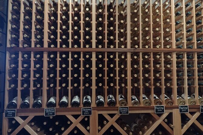 Andie's NON BUS 4-winery Traverse Leelanau Peninsula Wine Tour - Final Thoughts: Who Should Book This Tour?