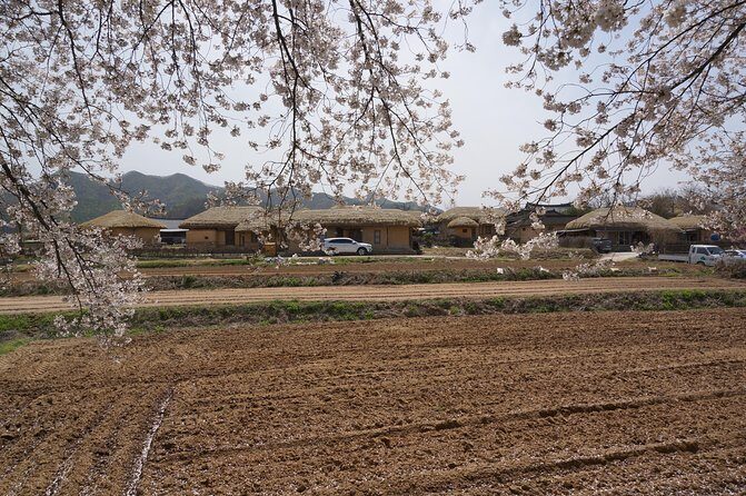 Andong Hahoe Folk Village [UNESCO World Heritage] Private Tour from Seoul - Pricing and Value