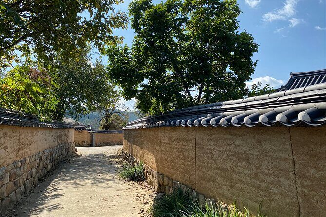 Andong Hahoe Village & Face mask show from Busan - Practical Tips for Making the Most of This Tour
