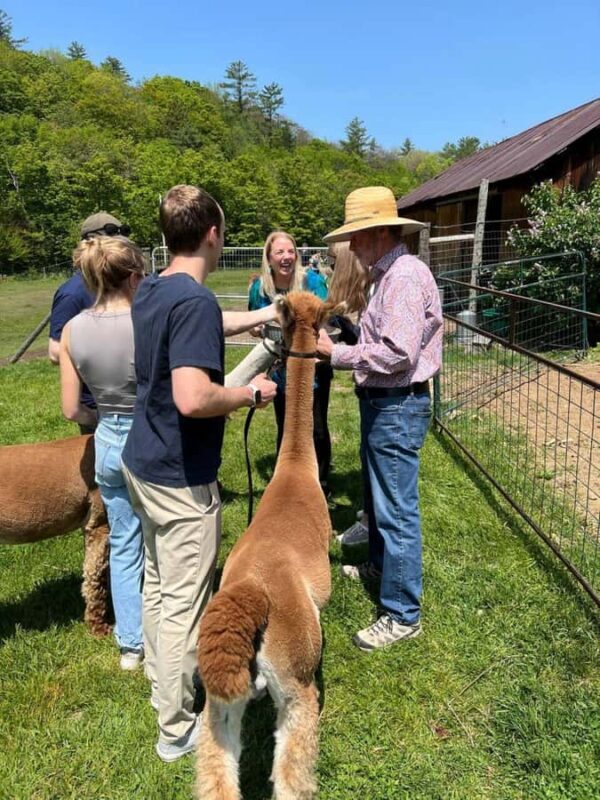 Andover, VT: Alpaca Interaction and Walk Experience - Key Points