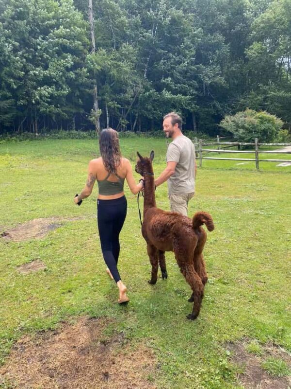 Andover, VT: Alpaca Interaction and Walk Experience - Final Thoughts: Who Will Love This Experience?