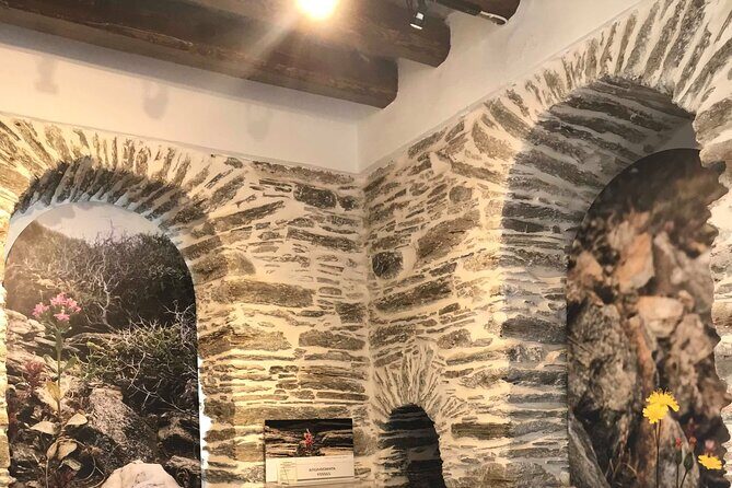 Andros Full Day Sightseeing Tour - Key Points