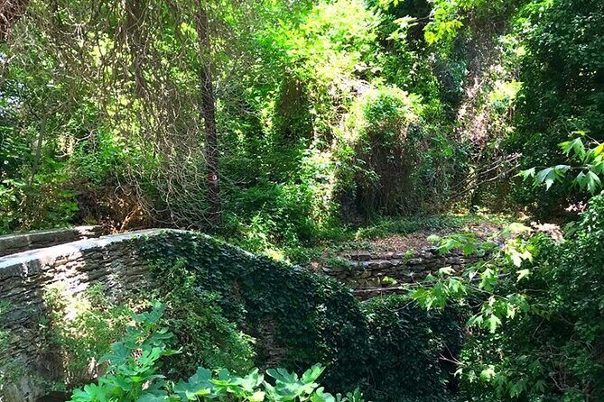 Andros Full Day Sightseeing Tour - Exploring the Itinerary in Detail