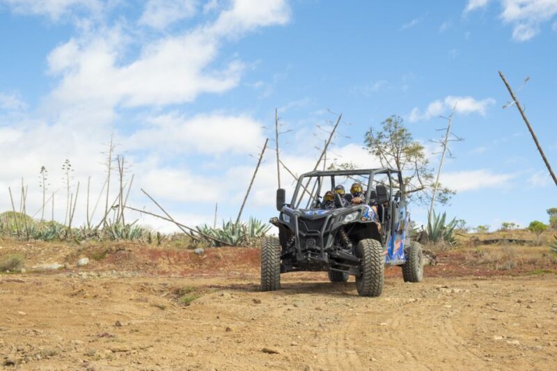 Anfi beach: Guided Buggy Tour. - Real Traveler Insights