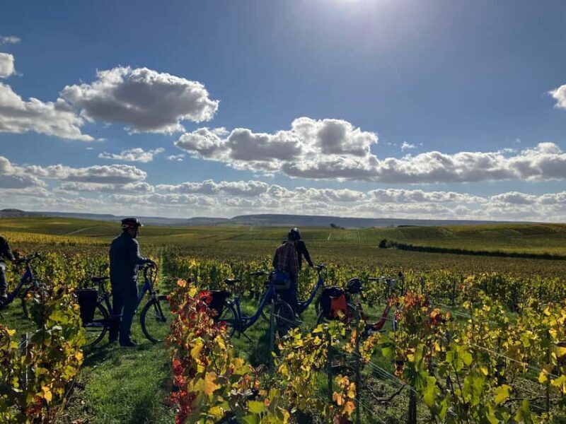 Angélique's electric bike tour in Champagne - Key Points