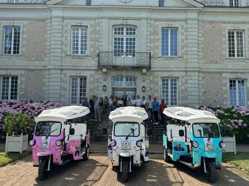 Angers: Ride on the banks of the Loire in electric Tuk Tuk - Key Points