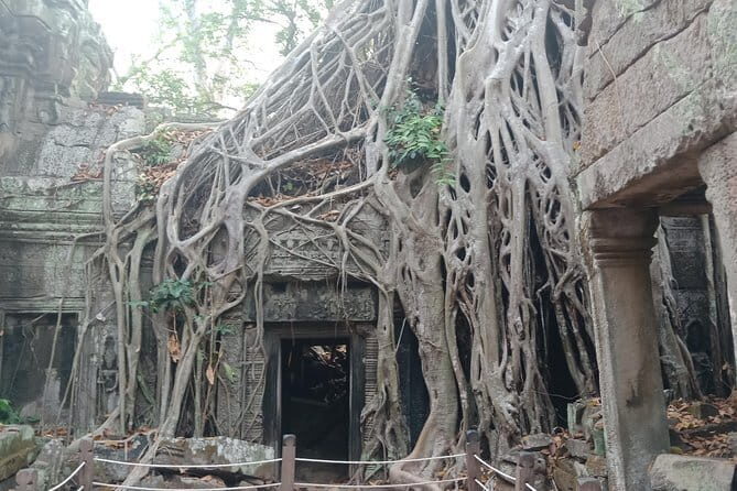 Angkor Jeep Tour - The Experience Breakdown: What to Expect