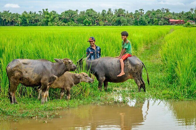 Angkor Wat -2Days Tour Package in Siem Reap, Cambodia - Detailed Breakdown of the Itinerary