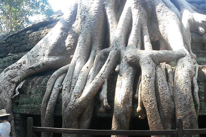 Angkor Wat 3-Day Tour from Bangkok - Final Thoughts: Who Is This Tour Perfect For?