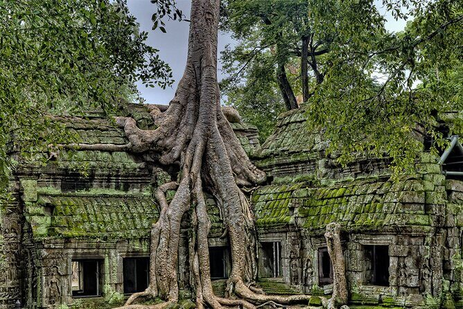 Angkor Wat, Angkor Thom & Elephant Terrace Half-Day Tours - Who Should Consider This Tour?