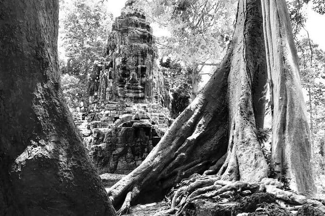 Angkor Wat & Banteay Srei 1-Day Tour - A Detailed Look at the Itinerary