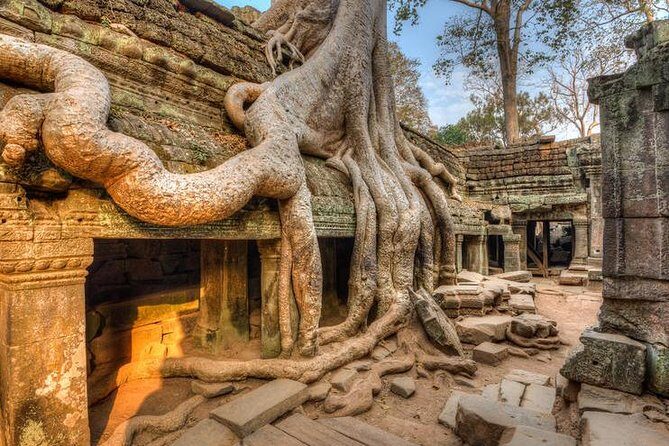 Angkor Wat Day Tours And Sunset - Wear comfortable shoes and dress respectfully